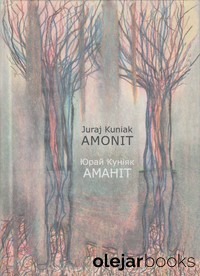 Amonit 