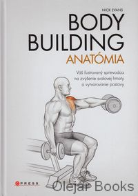 Bodybuilding - anatómia