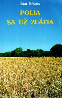 Polia sa už zlátia