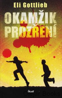 Okamžik prozření