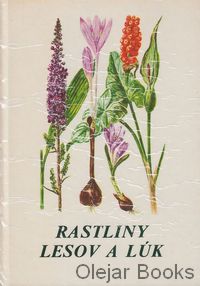 Rastliny lesov a lúk