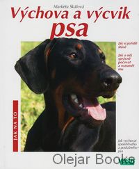 Výchova a výcvik psa