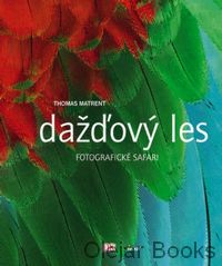 Dažďový les