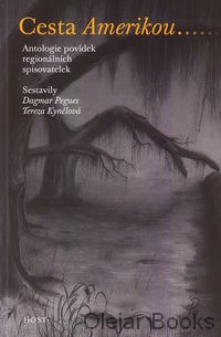 Cesta Amerikou