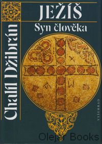 Ježíš Syn člověka