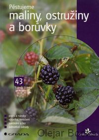 Pěstujeme maliny, ostružiny a borůvky