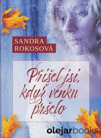 Přišel jsi, když venku pršelo