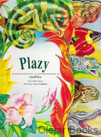 Plazy