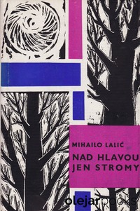 Nad hlavou jen stromy