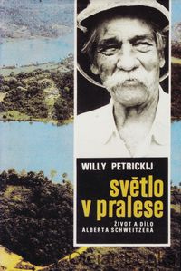 Světlo v pralese