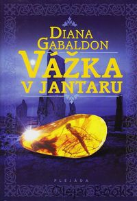 Vážka v jantaru