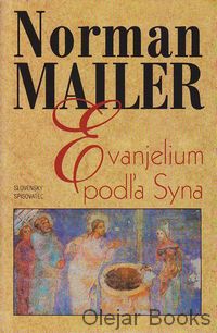 Evanjelium podľa Syna