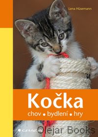 Kočka