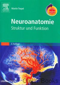 Neuroanatomie
