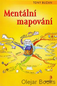 Mentální mapování