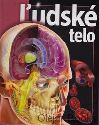 Ľudské telo