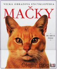 Mačky