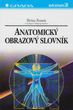 Anatomický obrazový slovník