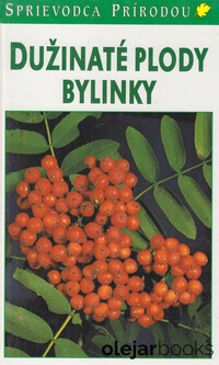 Dužinaté plody bylinky
