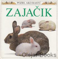 Zajačik