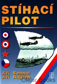 Stíhací pilot