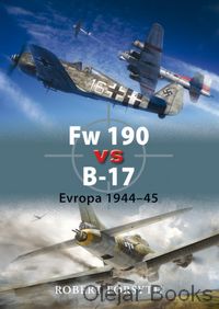 Fw 190 vs B–17