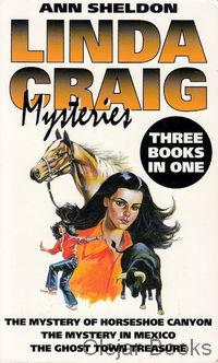 Linda Craig Mysteries