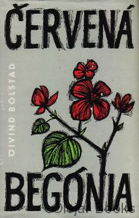 Červená begónia
