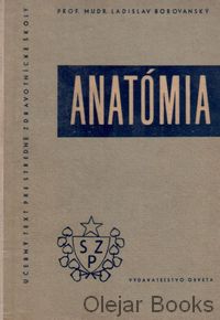 Anatómia