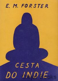Cesta do Indie