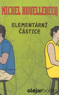 Elementární částice