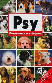 Psy
