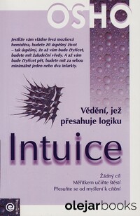 Intuice