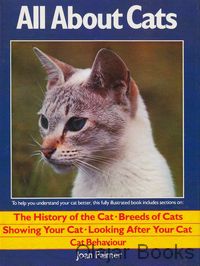All About Cats