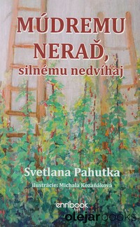 Múdremu neraď, silnému nezdvíhaj 