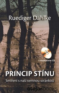 Princip stínu