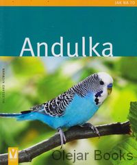 Andulka