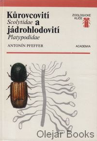 Kůrovcovití Scotylidae a jádrohlodovití Platypodidae
