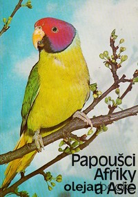 Papoušci Afriky a Asie