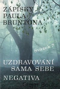 Uzdravování sama sebe; Negativa