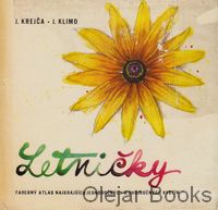 Letničky