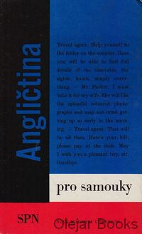 Angličtina pro samouky