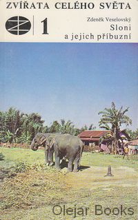 Sloni a jejich příbuzní