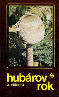 Hubárov rok