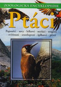 Ptáci 3