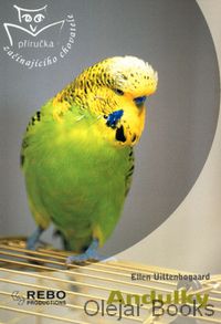 Andulky